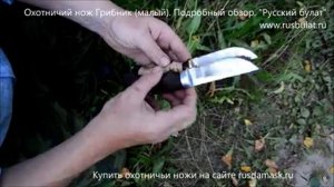 Охотничий нож Грибник (малый). Подробный обзор.