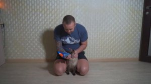 Ингалятор (спейсер) для кошек при астме, как делать ингаляцию.