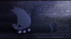 Коты-Воители - День, Ночь