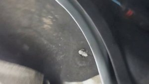 Установка автозапуска на VW Jetta 2014 г.в.