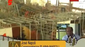 JOSE NAPOLI  CONSIGNATARIOS PLANA NAPOLI