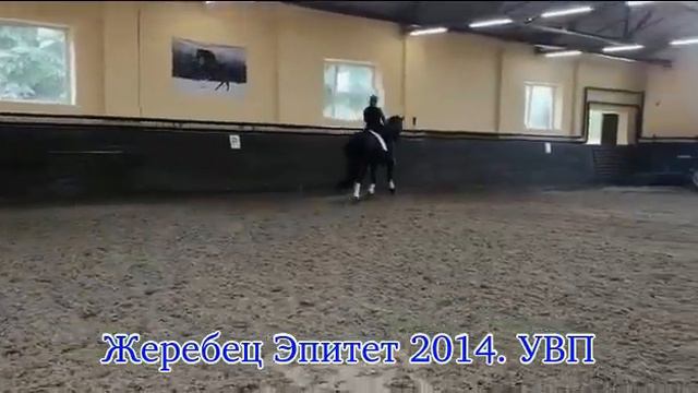 011019 Эпитет 2014 5 смотреть онлайн