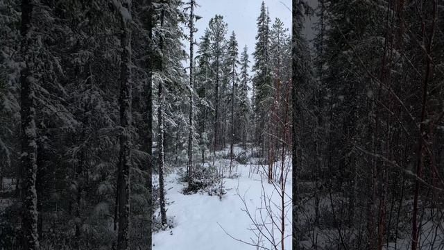 У природы нет плохой погоды
