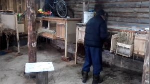 Вес кролика в 3 месяца.