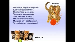 Презентация домашние животные и их детёныши презентация