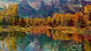 BERNWARD KOCH - Under Trees