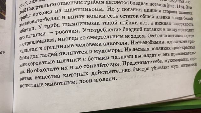 Биология/6 класс/Т.А. Исаева/ Разнообразие грибов, их значение/23.05.21 смотреть онлайн