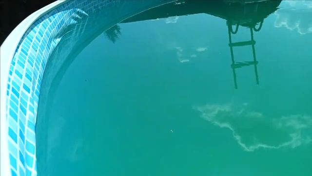 Зацвел бассейн: показываем, как очистить зацветший бассейн без хлорки с помощью зелёнки смотреть онлайн