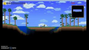 Terraria:Too Much Lag