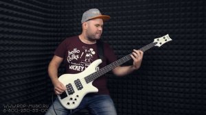 Бас гитара SCHECTER STILETTO STAGE 4