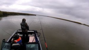 ТОП 3 ПРИМАНКИ ПО СУДАКУ ОСЕНЬЮ. ГДЕ СТОИТ СУДАК