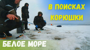 ЗИМНЯЯ РЫБАЛКА на Белом море. В поисках Корюшки.