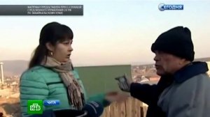 Стая бродячих собак насмерть загрызла ребенка...