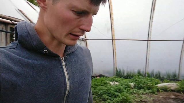 ЭФФЕКТ БОМБА ! УКОРЕНЕНИЕ И ЗАЩИТА ОТ ВРЕДИТЕЛЕЙ . ОБЯЗАТЕЛЬНО ДЕЛАЕМ ПЕРЕД ВЫСАДКОЙ ПЕРЦА смотреть онлайн