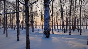 мое любимое место для прогулок(воспоминание детства)