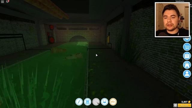 HOW TO GET THE PICKETT & POSSESSED CAT HEAD!! (Roblox HALLOWEEN EVENT 2018 - Robloxian Highschool!) смотреть онлайн