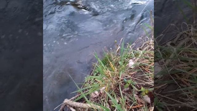 Восстановление сил и здоровья во сне  Восприятие мысленно природы.