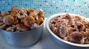 Vlog #Меня понесло. Опять за грибами .Результат похода.