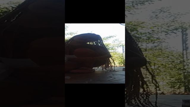 VID_20240804_133631.mp4
