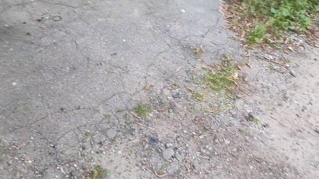 Форд транзит в продаже 2010 цена подарок смотреть онлайн