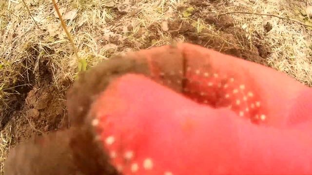 Старинная лопата.(1-й коп Go-Fine 20) 2017 смотреть онлайн