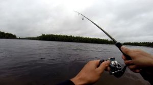 река Кемь. Карелия