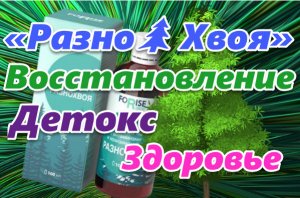 Фитопродукт «Разно?Хвоя» для витаминно-минеральной поддержки, детокса, восстановления организма