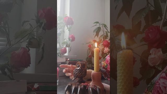 Что такое, хитки, притки, заломы, килы, призоры,порчи, переполохи? Как их наводили.