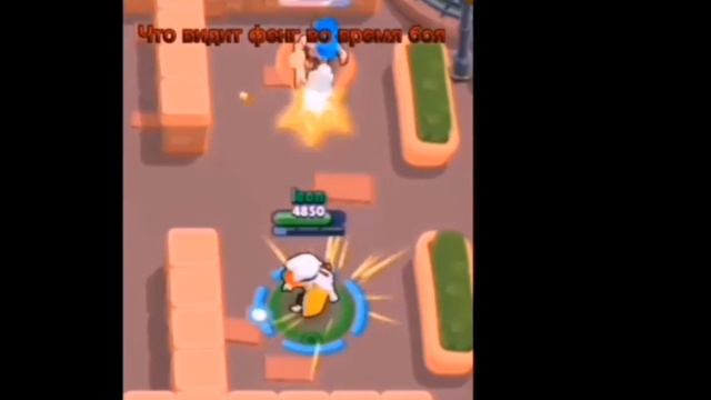 Что видит фенг во время боя: что видит противник: смотреть онлайн