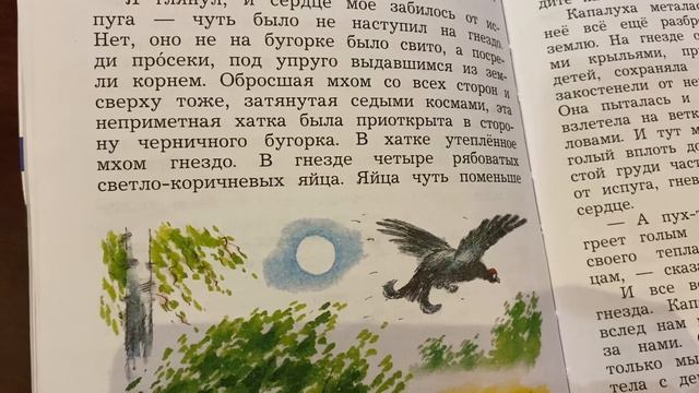 Чтение 4 кл: В.П.Астафьев «Капалуха»/05.02.23 21:10 смотреть онлайн