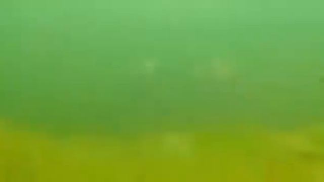 Водолазы Центра проводят учения на дне озера Валдай