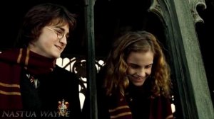 Draco and Hermione || Не отбирай мои крылья
