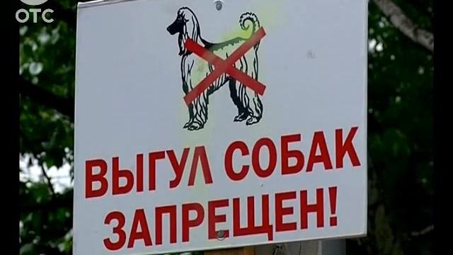 Все больше проблем появляется у собаководов смотреть онлайн