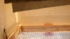 Инкубатор из холодильника.