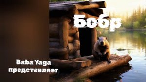 Новая песня Бобр от Baba Yaga