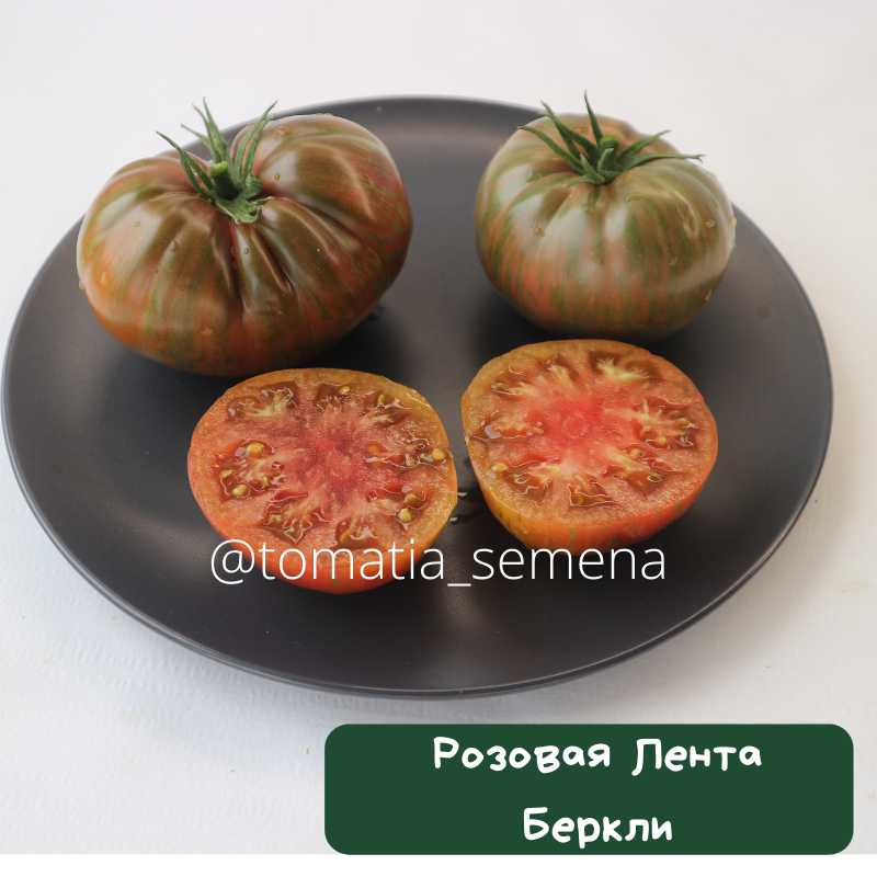 Розовая лента Беркли