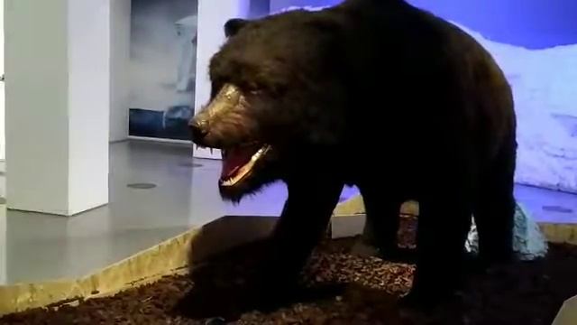 Пещерный медведь смотреть онлайн