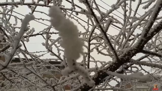 Ниночка-Нинель смотреть онлайн