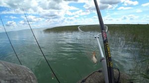 Сартлан рыбалка июль 2023