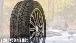 Зимние шины roadstone winguard ice plus 205/50 r17 93t Отзывы Обзор