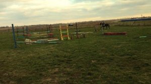 Влог с конюшни | Конкурная тренировка, сравнение лошадей