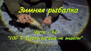 Зимняя рыбалка. Часть - 42 "100 % Такого вы еще не видели".