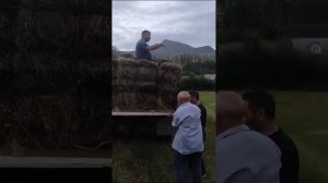 сенокос, село Зрых, отдых в Дагестане