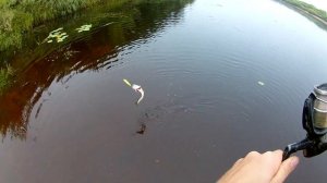 #Кологрив р.Унжа рыбалка