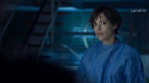 АКУЛЫ В ПАРИЖЕ 2024