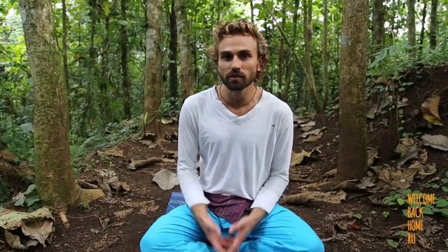 mind detox 21 теория День 10 Игорь Будников смотреть онлайн