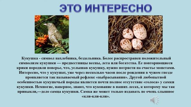 Речевая разминка (для начальных классов)
