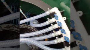 Запуск септика Итал Био