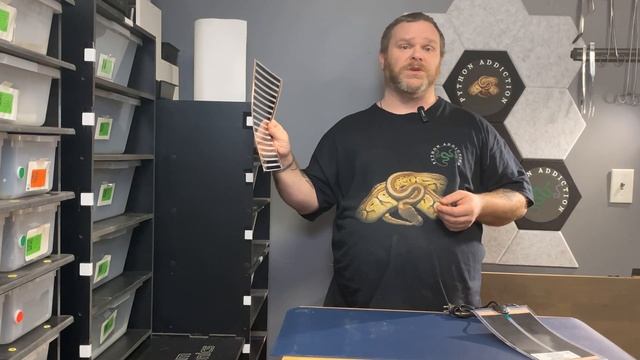 Ball Python Heating sources - What should you use? смотреть онлайн