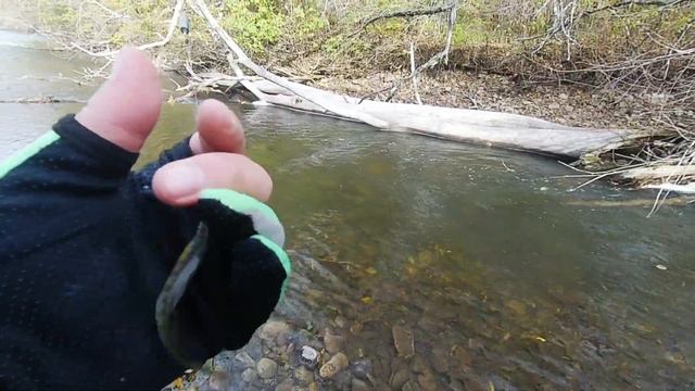 Хариус в конце сентября, после дождя. смотреть онлайн